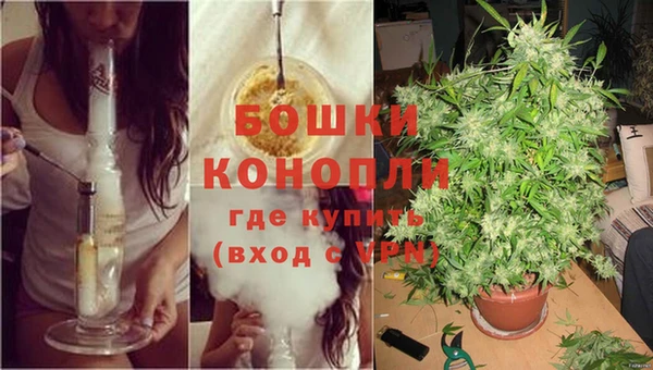 МДМА Грязовец