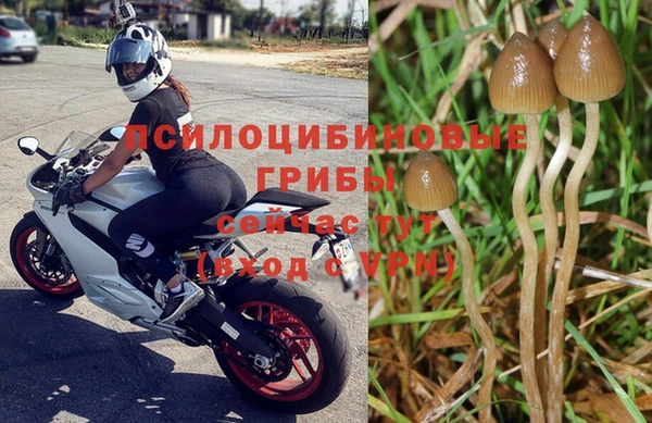 круглые Грязи