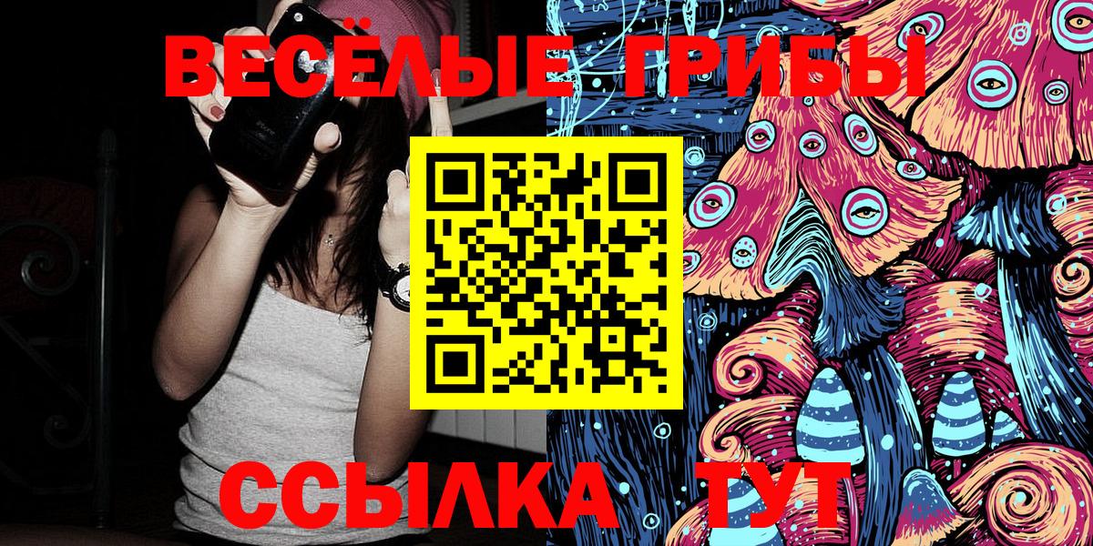 Псилоцибиновые грибы Psilocybe Шарыпово