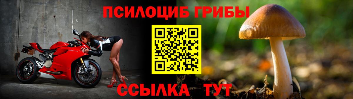 Галлюциногенные грибы Magic Shrooms  Галлюциногенные грибы MAGIC MUSHROOMS  Вход с VPN  Шарыпово 